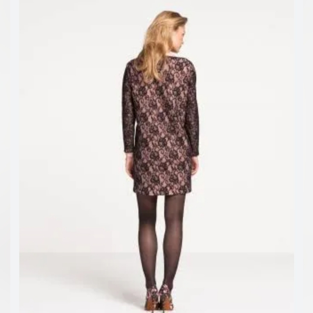 NWT Maison-Scotch Pink & Black Lace Wool Blend Mini Dress